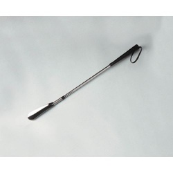 Long Handled Shoe Horn with Spring