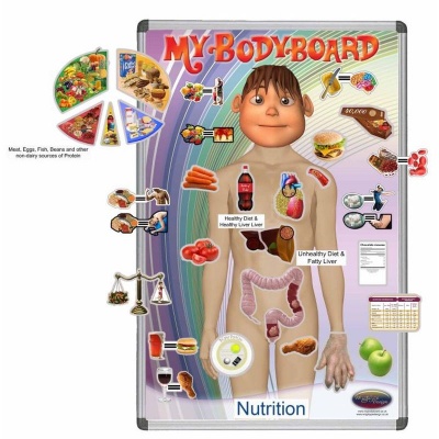 My BodyBoard Teaching Nutrition Professional Magnetic Pack Bundle
