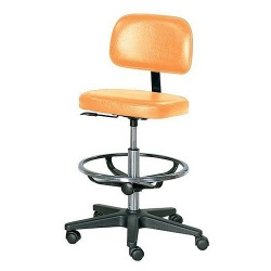 Practitioner Chair with Foot Ring