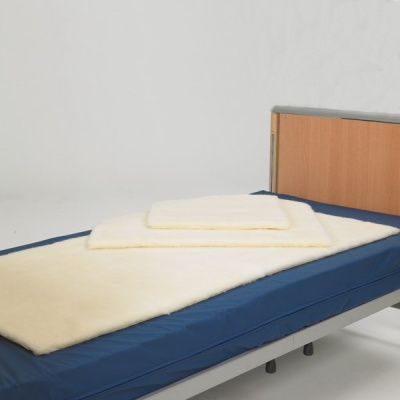 Parnell Premier Bed Grab Rail | Health and Care