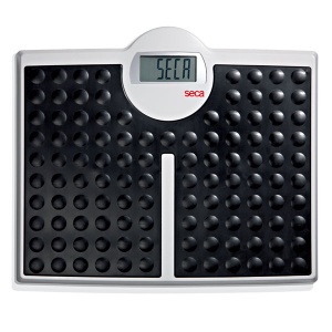Seca 813 Robusta Digital Scales