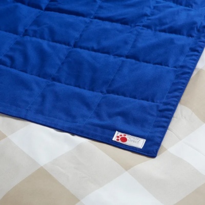 Sensory Direct Small Weighted Blanket for Kids