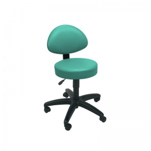 Sunflower Medical Mint Gas-Lift Stool with Back Rest