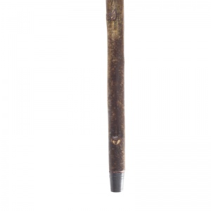 Tall Hazel Coppice Knobstick Walking Stick