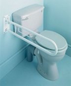 Fold Away Grab Rails