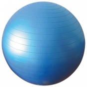 Physioworx Anti Burst Exercise Ball 250 Kg