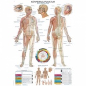 ''Body Acupuncture'' Educational Chart