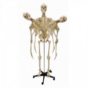 Flexible Model Skeleton Human Full Size