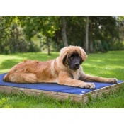 techniche international evaporative cooling dog coat