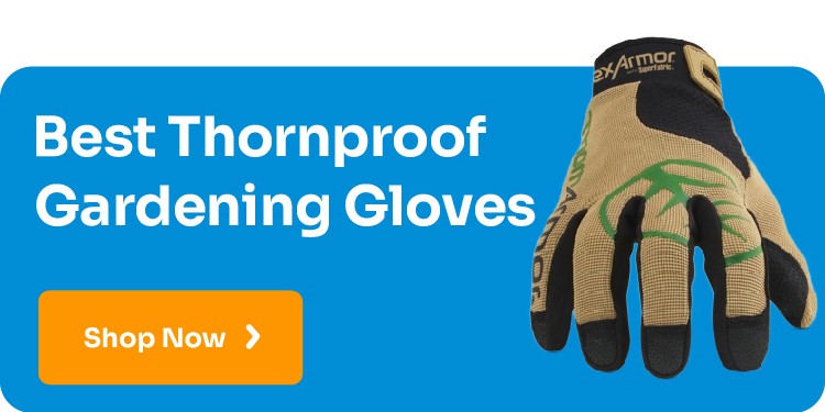 Best Thornproof Gardening Gloves