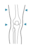 BioSkin Knee Support Measurements